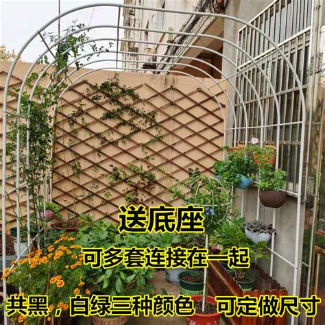 植物爬藤架|有什么搭建藤架（藤类植物的架子）稳定安全 ...